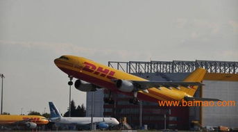 深圳國(guó)際物流貨運(yùn)代理服務(wù)DHL、UPS、FedEx 專業(yè)生產(chǎn)廠家與價(jià)格指南
